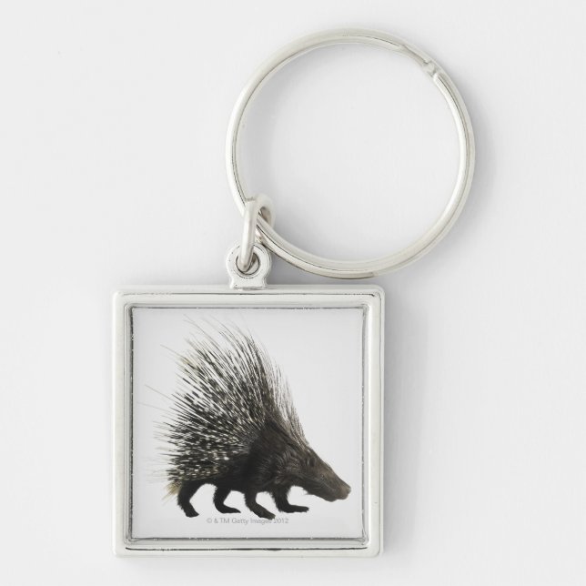 Porcupine Key Ring (Front)