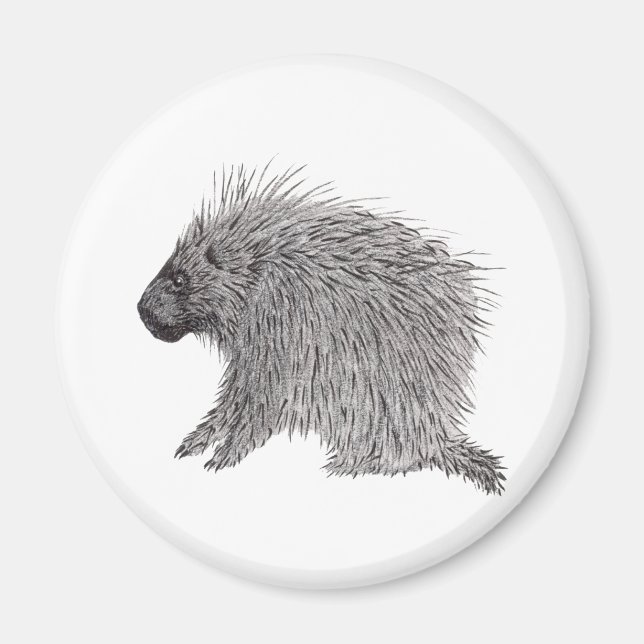 Porcupine Magnet (Front)