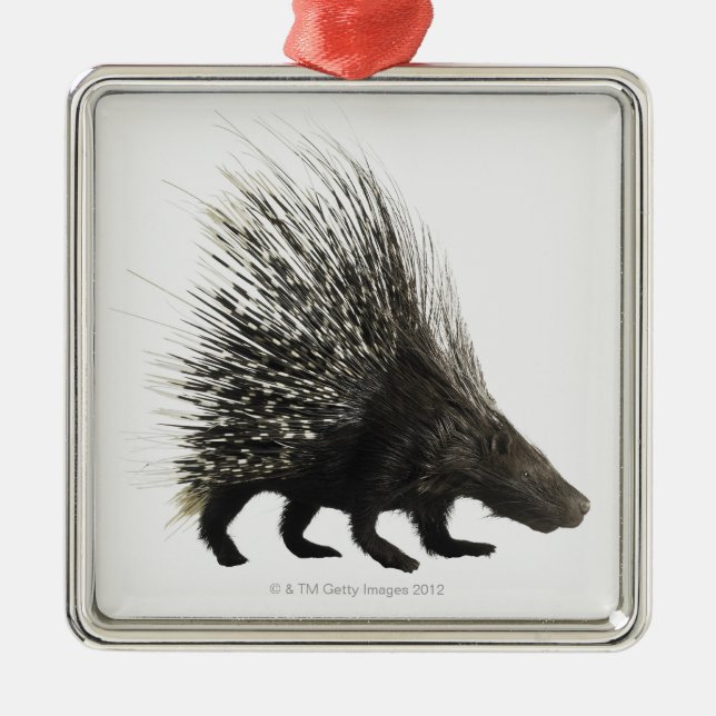 Porcupine Metal Tree Decoration (Front)
