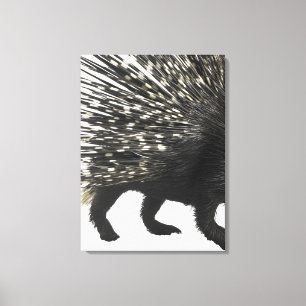 Porcupine quills canvas print