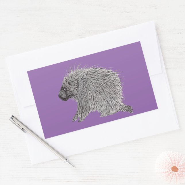 Porcupine Rectangular Sticker (Envelope)
