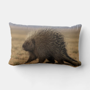 Porcupine vs. Dog Lumbar Cushion