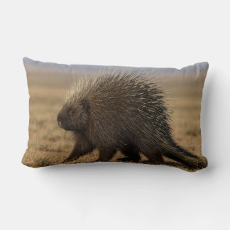 Porcupine vs. Dog Lumbar Cushion