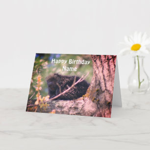 Porcupine Wildlife Personalised Birthday Card