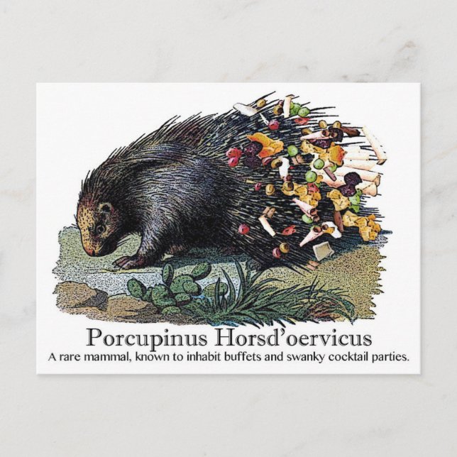 Porcupinus Hoerd'oervicus Postcard (Front)