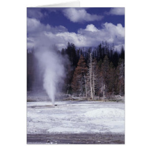 Pork Chop Geyser ,Yellowstone National Park