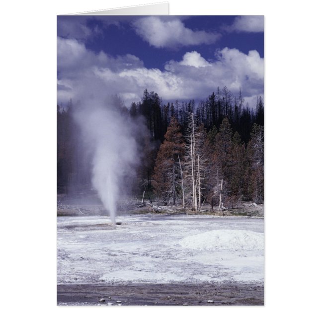 Pork Chop Geyser ,Yellowstone National Park (Front)