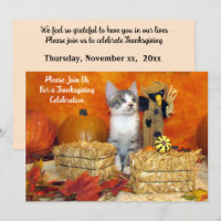 Pork Chop's Fall / Autumn / Thanksgiving Cat