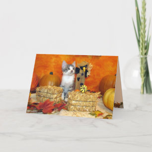 Pork Chop's Fall / Thanksgiving - Cute Cat Card