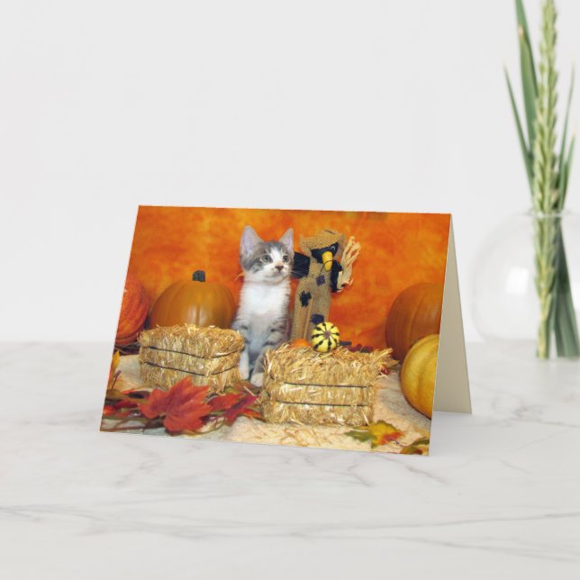 Pork Chop's Thanksgiving Card - Cute Cat  (Front)