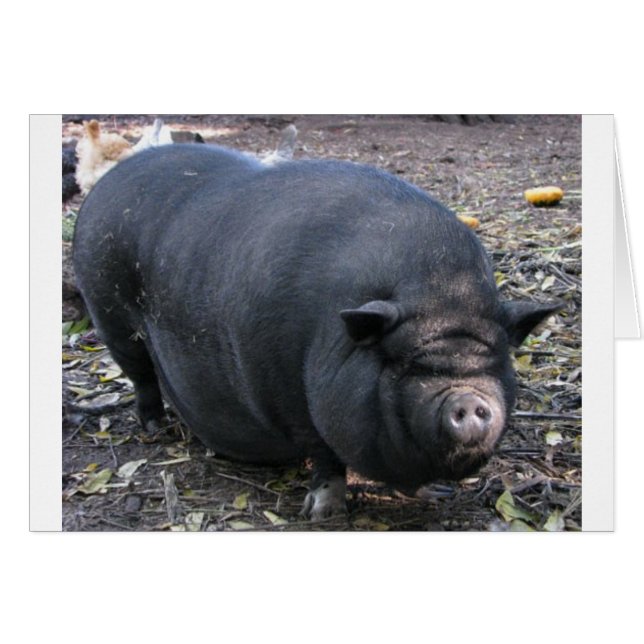 PORKER (Front Horizontal)