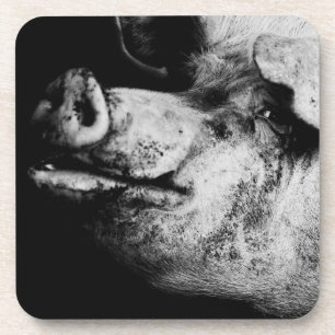 porker portrait coaster