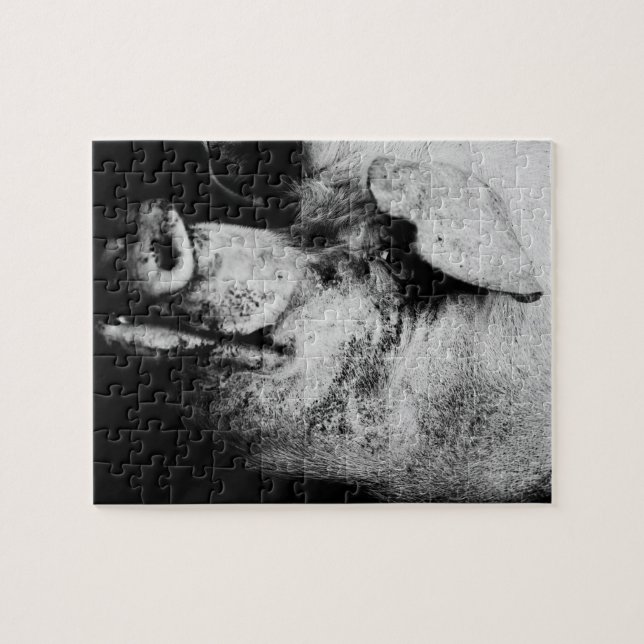 porker portrait jigsaw puzzle (Horizontal)