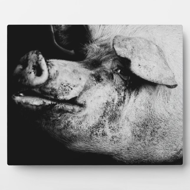 porker portrait plaque (Front)
