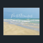 Port Aransas Beach Postcard<br><div class="desc">Beautiful beach photography showing the serene beauty of the Port Aransas seashore. A pretty sandpiper stands at the edge of the lovely blue green waters looking out over the calm ocean on a bright sunshine day. Perfect seaside photograph to show people how this beautiful Texas beach town has been restored...</div>