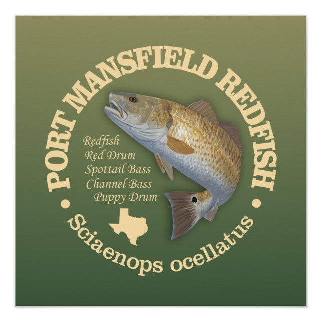 Port Mansfield (redfish) Poster (Front)