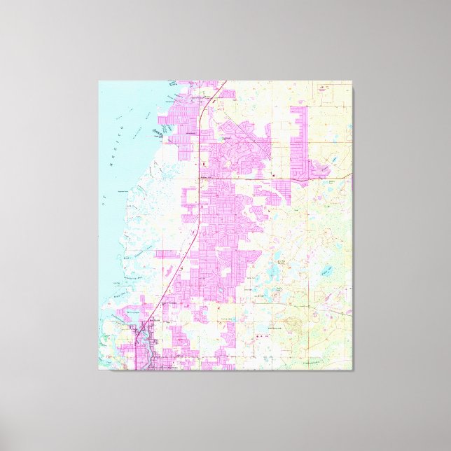 Port Richey & New Port Richey Florida Map (1954) Canvas Print (Front)