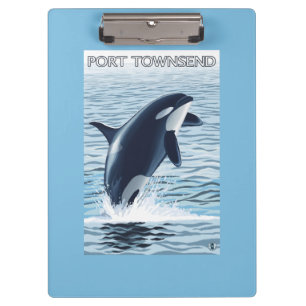 Port Townsend, WashingtonOrca Jumping Clipboard