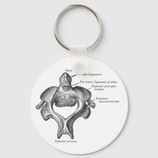 Portable Backbone Key Ring