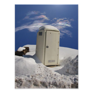 Portable Potty ~ Photo