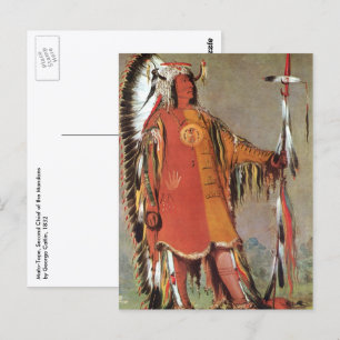 Portait of Indian Chief Mato-Tope by George Catlin Postcard