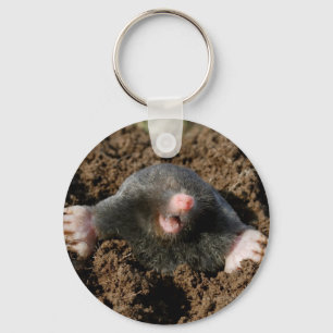 Porte-clé Taupe Key Ring