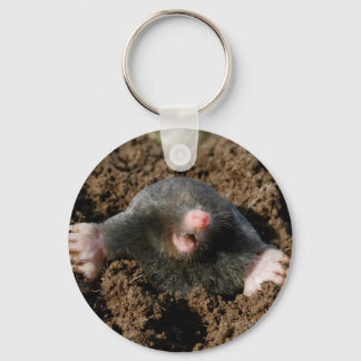 Porte-clé Taupe Key Ring