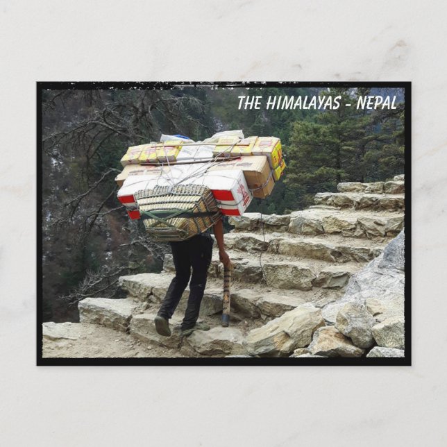 Porter with Load, Himalayas trail - Nepal Postcard (Front)