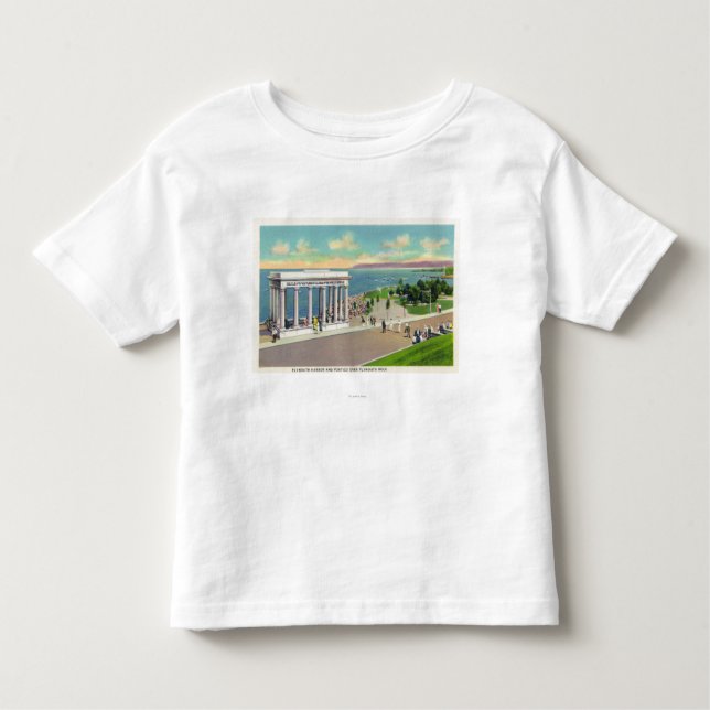 Portico over Plymouth Rock View of Plymouth Toddler T-Shirt (Front)