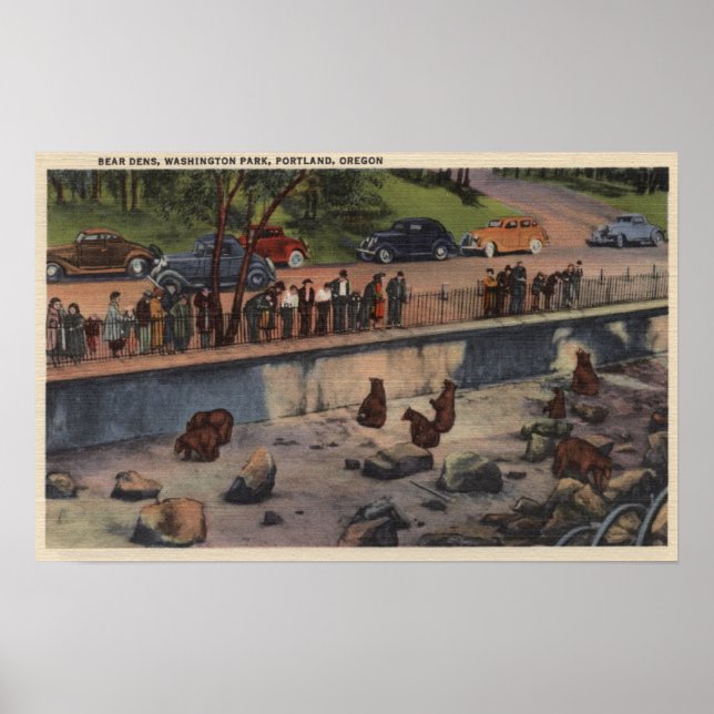 Portland, ORBear Dens in Washington Park Poster (Front)