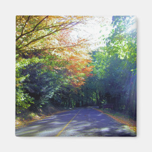 Portland, Oregon Road to the Rose Garden Magnet