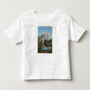 Portland, Oregon - Spanish Pool and Ghost Tree Toddler T-Shirt