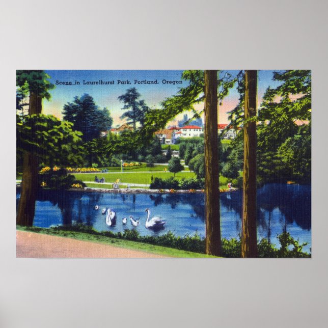 Portland, OregonLaurelhurst Park Scene Poster (Front)