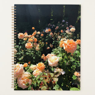 Portland Rose Garden, OR Planner