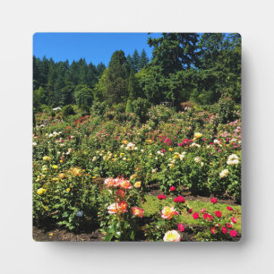 Portland Rose Garden, OR Plaque
