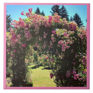Portland Rose Garden, OR Tile