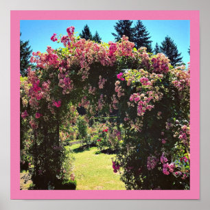 Portland Rose Garden Poster