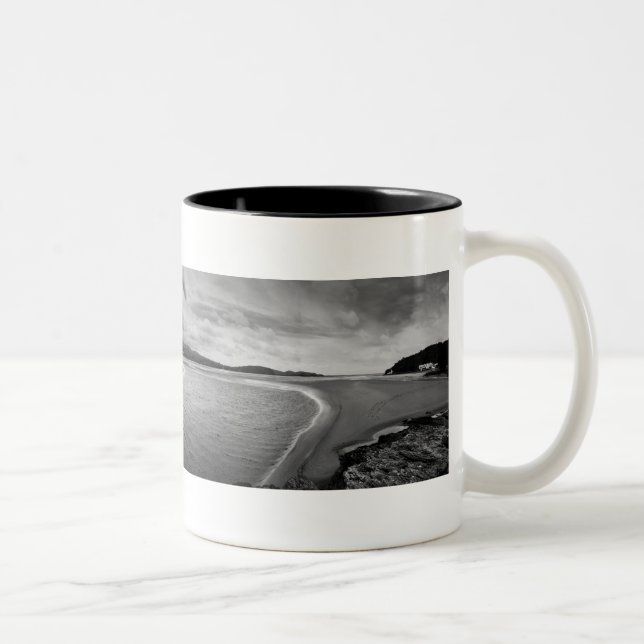 Portmeirion Panorama Mug (Right)