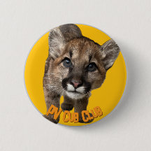 Portola Valley Cub Club—Fern