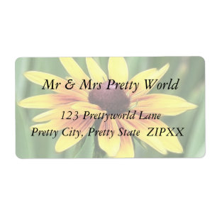 Portrait - Black Eyed Susan