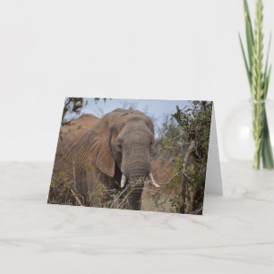 Portrait Card