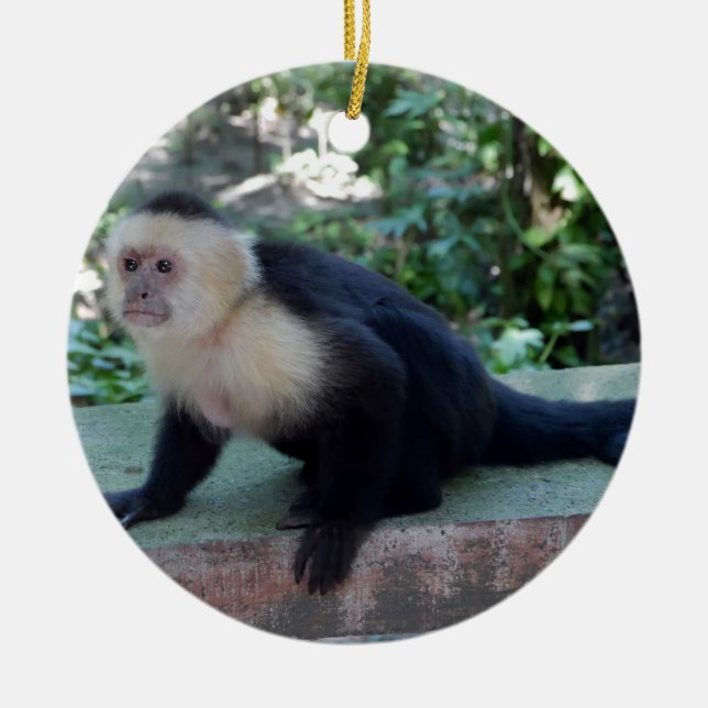 Portrait.JPG Ceramic Tree Decoration (Front)