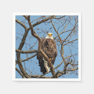 Portrait of a Bald Eagle Napkin