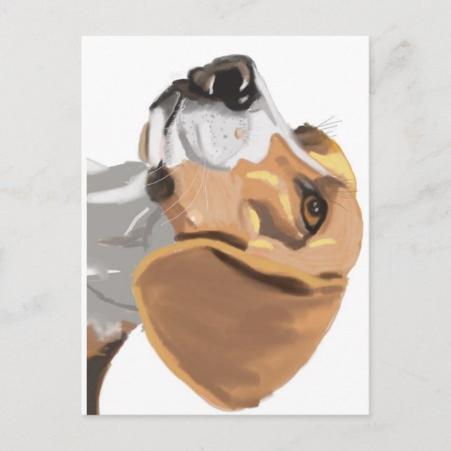 Portrait of a Beagle Head Postcard (Front)