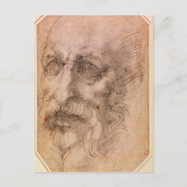 Portrait of a Bearded Man Postcard (Front)