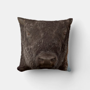 Portrait Of A Bison Bull In The Rain Cushion