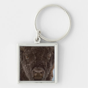 Portrait Of A Bison Bull In The Rain Key Ring