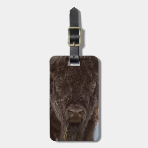 Portrait Of A Bison Bull In The Rain Luggage Tag