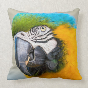 Portrait of a Blue and Yellow Macaw Cushion