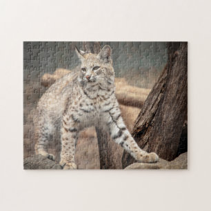 Portrait of a Bobcat Jigsaw Puzzle